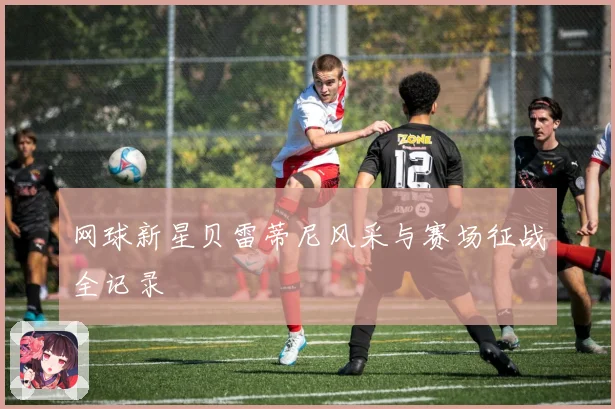 网球新星贝雷蒂尼风采与赛场征战全记录