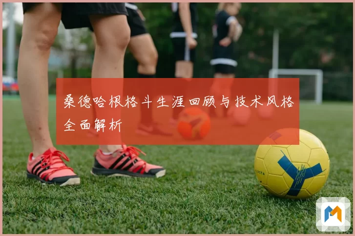 桑德哈根格斗生涯回顾与技术风格全面解析